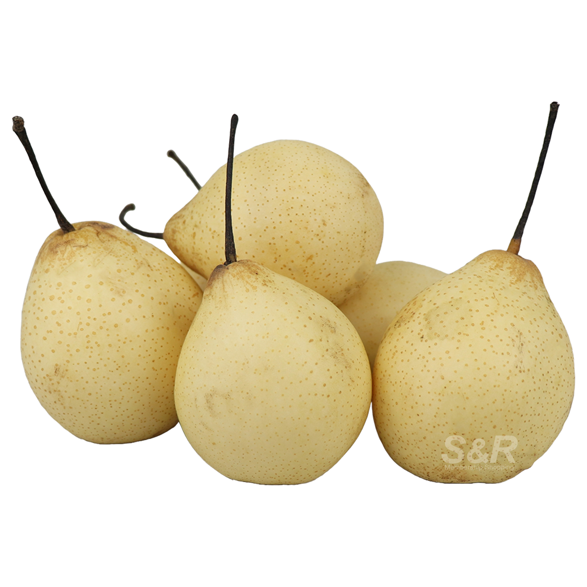 S&R YA Pears 6pcs